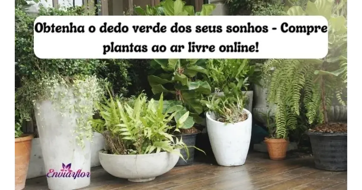 Obtenha o dedo verde dos seus sonhos - Compre plantas ao ar livre online!