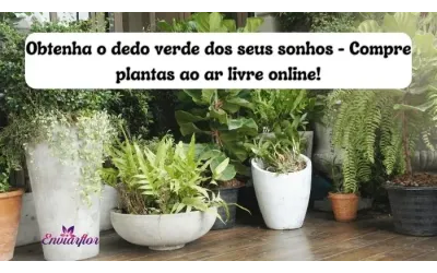 Obtenha o dedo verde dos seus sonhos - Compre plantas ao ar livre online!