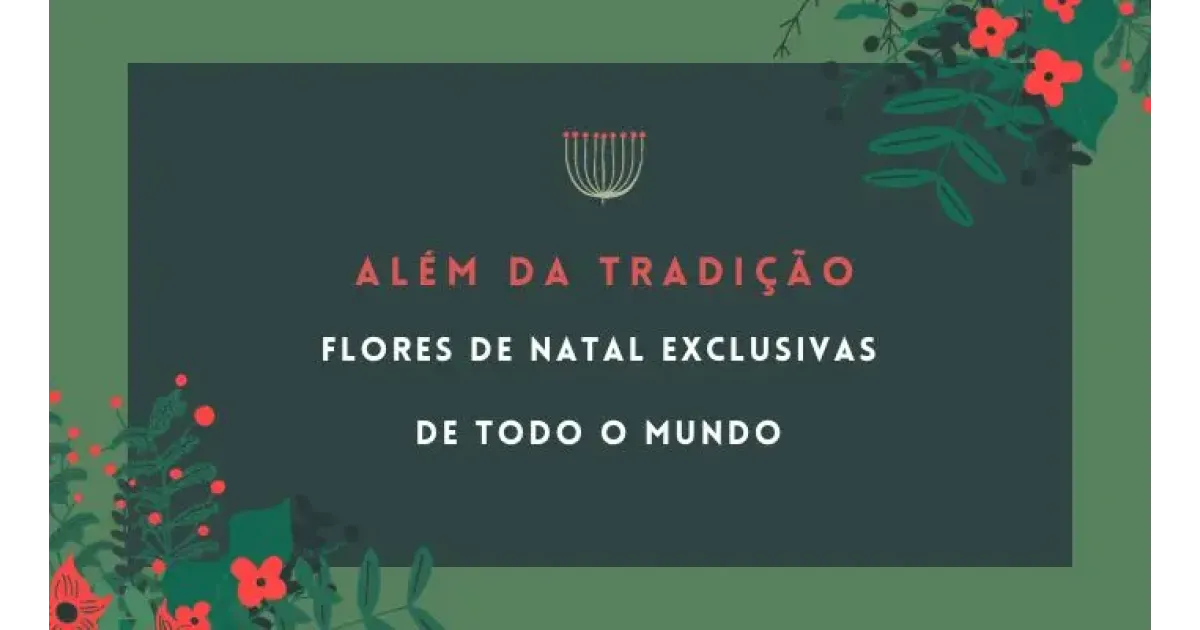 Além da tradição, flores de Natal exclusivas de todo o mundo