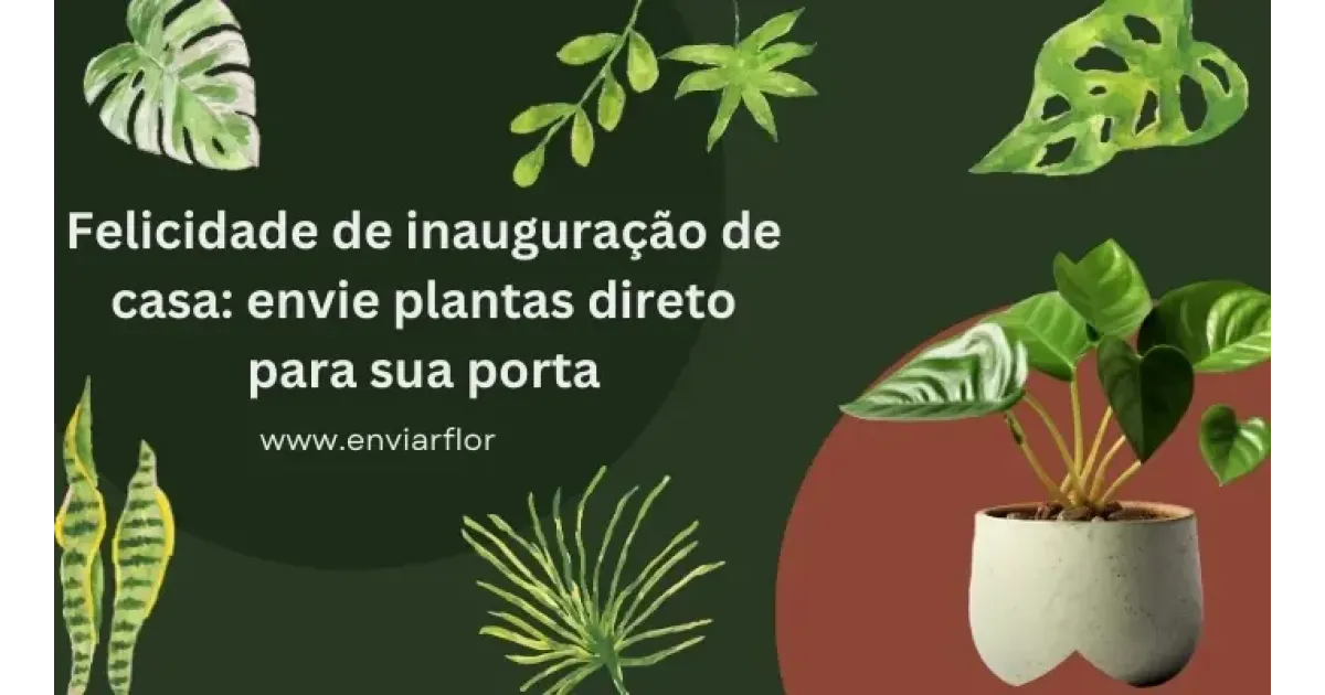 Da nossa estufa para a sua nova casa: entrega de plantas para inauguração de casa