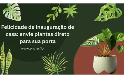 Da nossa estufa para a sua nova casa: entrega de plantas para inauguração de casa