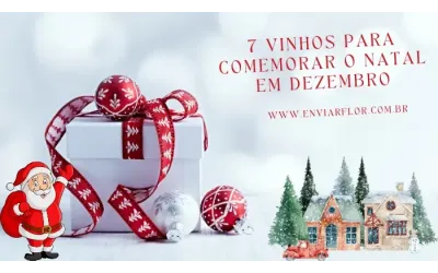 7 vinhos para comemorar o Natal em dezembro