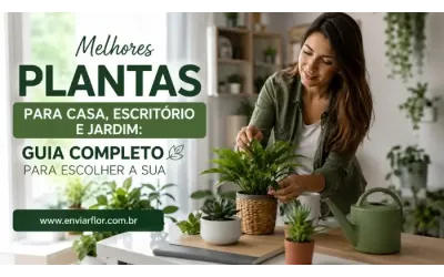 Melhores plantas para casa, escritório e jardim: guia completo para escolher a sua