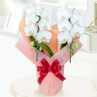 Funeral flores