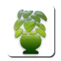 Natal plantas