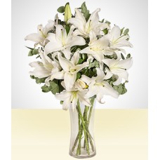 Tranquilidade: White Lily