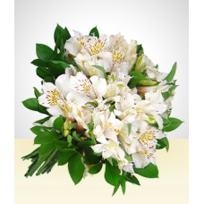 Amigável: Bouquet Branco Astromelias