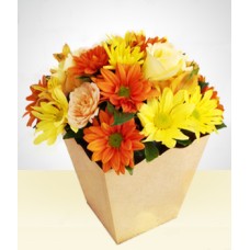 Liberdade: flores selvagens em vaso