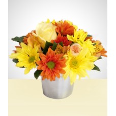 Florista: Flores Selvagens