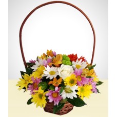 Colorido: Cesta de Primavera