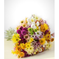 Para sempre: Bouquet de margaridas coloridas
