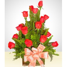 Liberty: Arranjo de 18 rosas