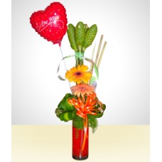 Arranjo de Gerberas