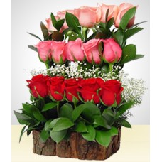 Sonhando com a queda de água de 15 rosas
