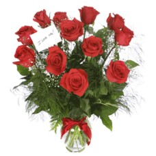 12 rosas