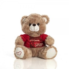 Urso de Pelúcia Sentado de 32 cm - Com Meu Amor Por Você - Camiseta Marrom