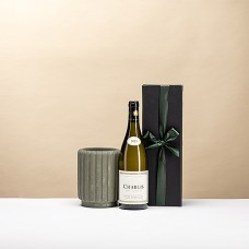 Dentelles Wine Cooler - Olive com garrafa de vinho em caixa de presente