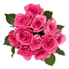 12 Rosas Cor-de-Rosa