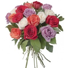 18 Rosas Mistas