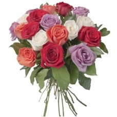 18 Rosas Mistas