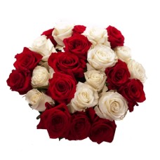 24 rosas vermelhas e brancas