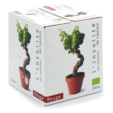 L'Insolite de Lascaux - Vinho tinto orgânico AOC du Languedoc Bib 3L