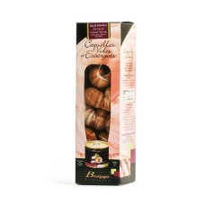 Conchas vazias e caracóis cor de vinho