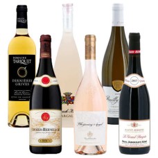 Coleção de vinhos chiques