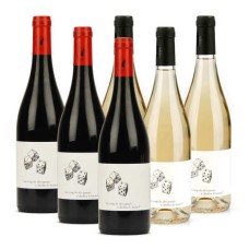 Vinhos tintos e brancos orgânicos e sem adição de sulfitos