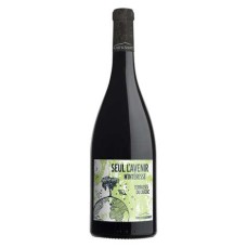 Seul l'avenir m'intresse - vinho tinto DOP Terrasses du Larzac