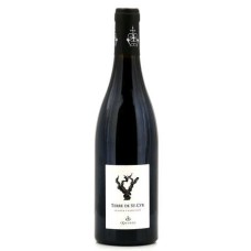 Terre de St Cyr Saumur Champigny AOC - vinho tinto sem adição de sulfitos