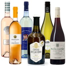 Lote de 6 garrafas "As cores do vinho"