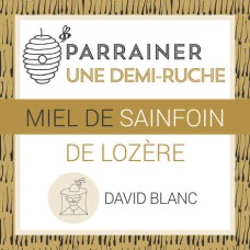 Patrocine metade de uma colmeia da Lozère: Mel de esparceta - Colheita de 2025