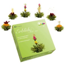 Caixa com 6 sachês de flores de chá verde aromatizadas.