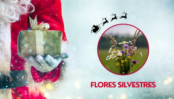 Flores silvestres