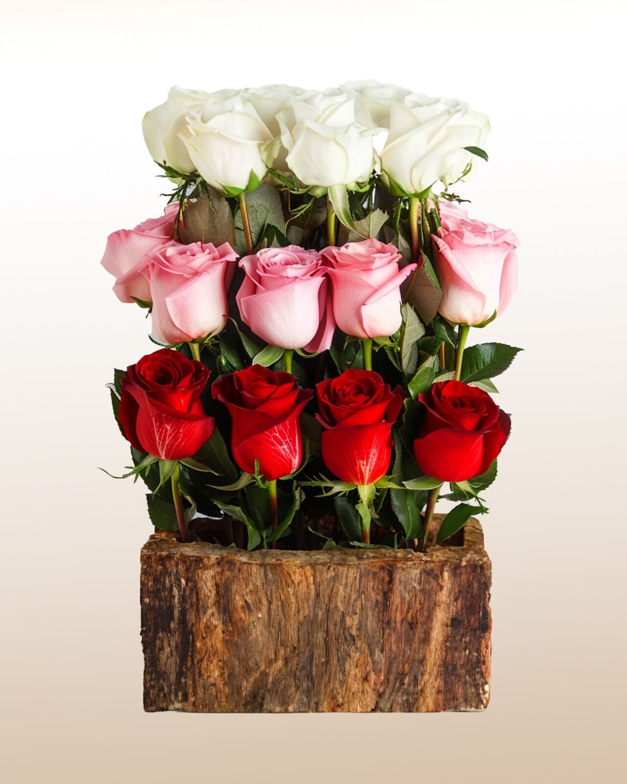 Sonhando com 15 Rosas Cachoeira
