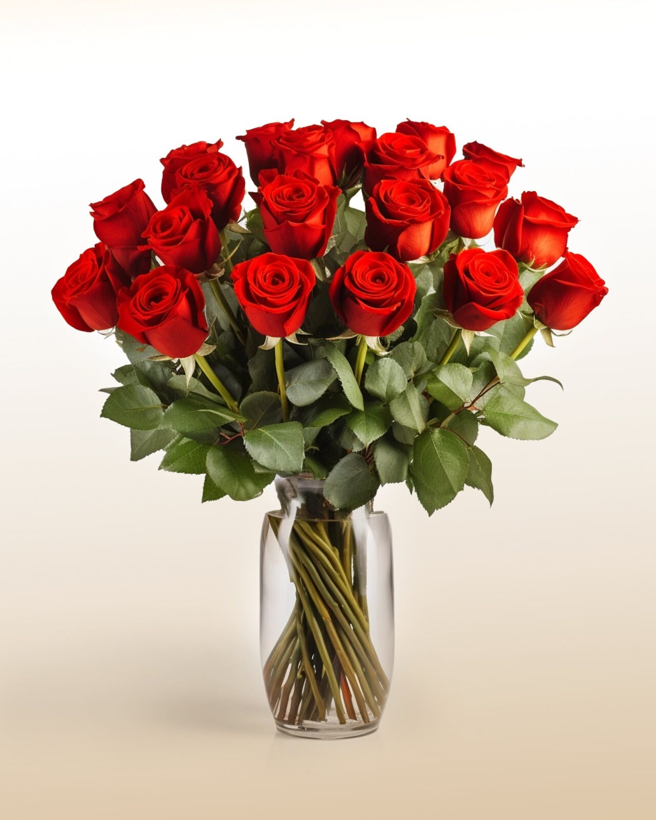Majestosas 24 Rosas Vermelhas