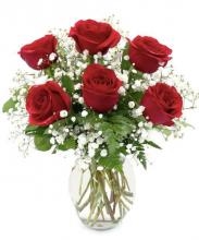 Vaso com 6 rosas vermelhas