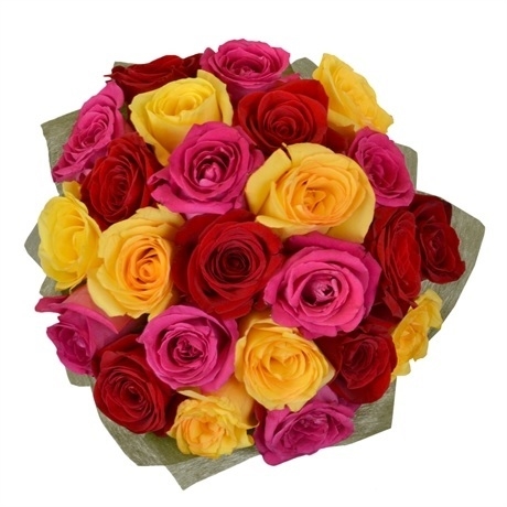 24 Rosas Mistas