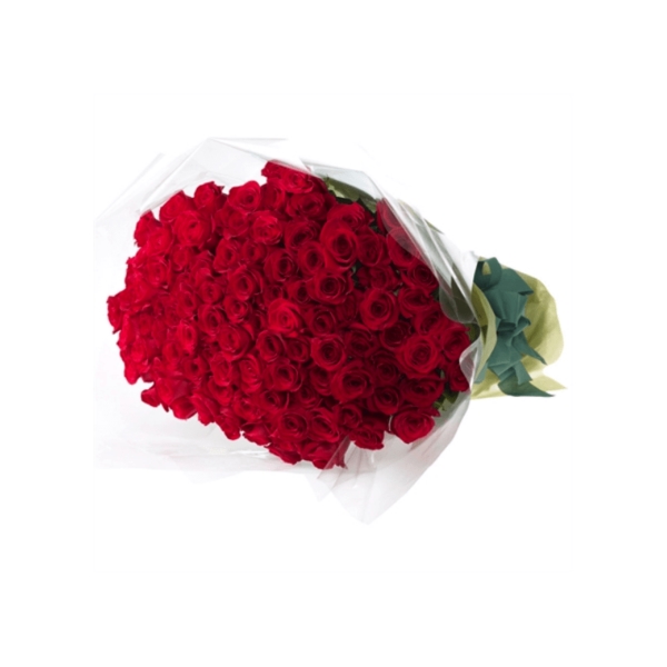 Buquê com 100 rosas vermelhas