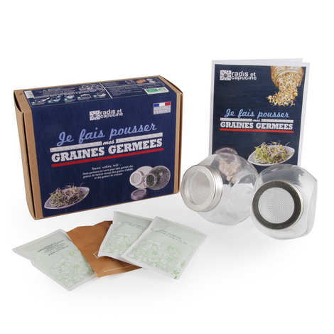 2 vasos de vidro com sementes orgânicas germinadas