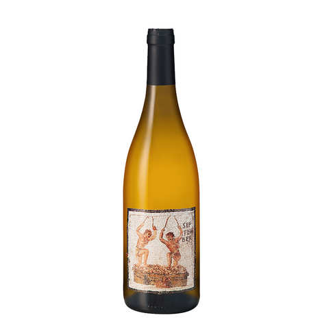 Vinho branco orgânico e sem adição de sulfitos - Janus