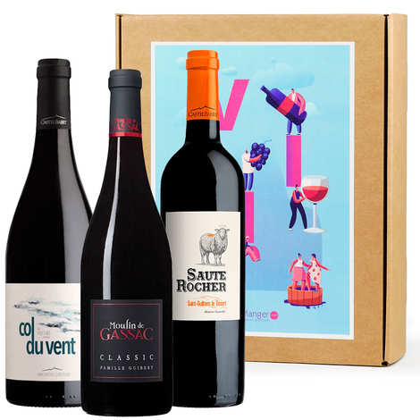 Caixa com 3 vinhos tintos do Sul da França