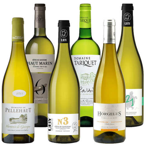 6 vinhos brancos secos e frutados da Gasconha