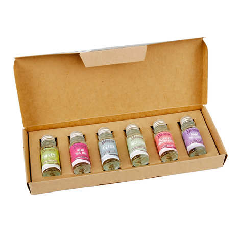 Caixa de descoberta Dizane - 6 miniaturas de concentrados vegetais orgânicos para diluir.