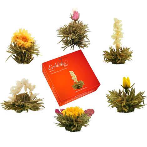 Caixa com 6 flores de chá branco